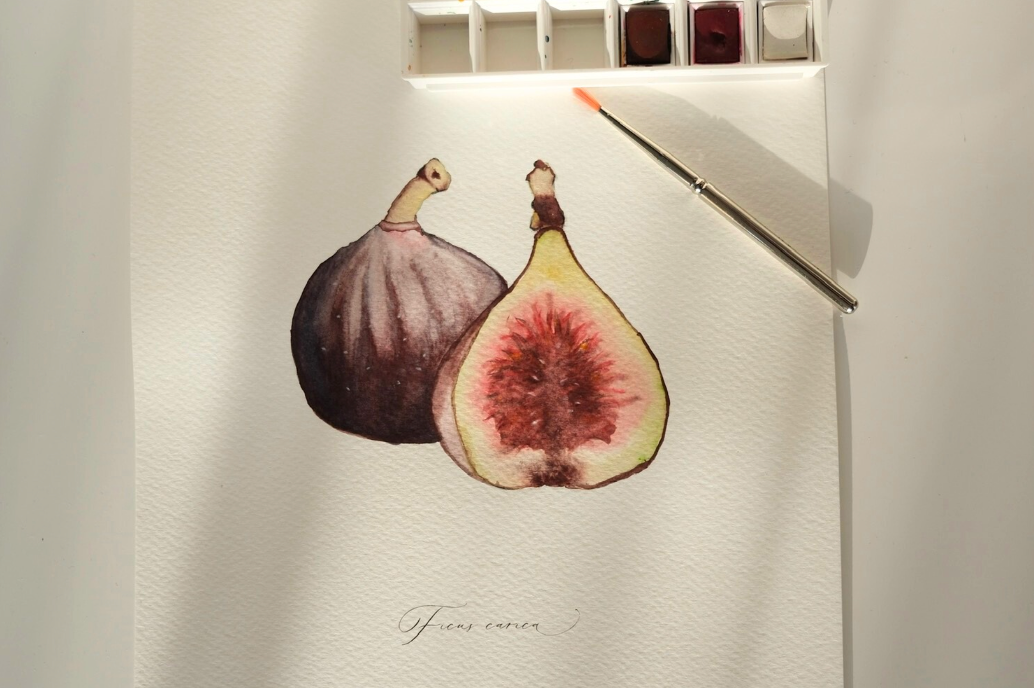 Everything You Need to Know About Watercolor Painting