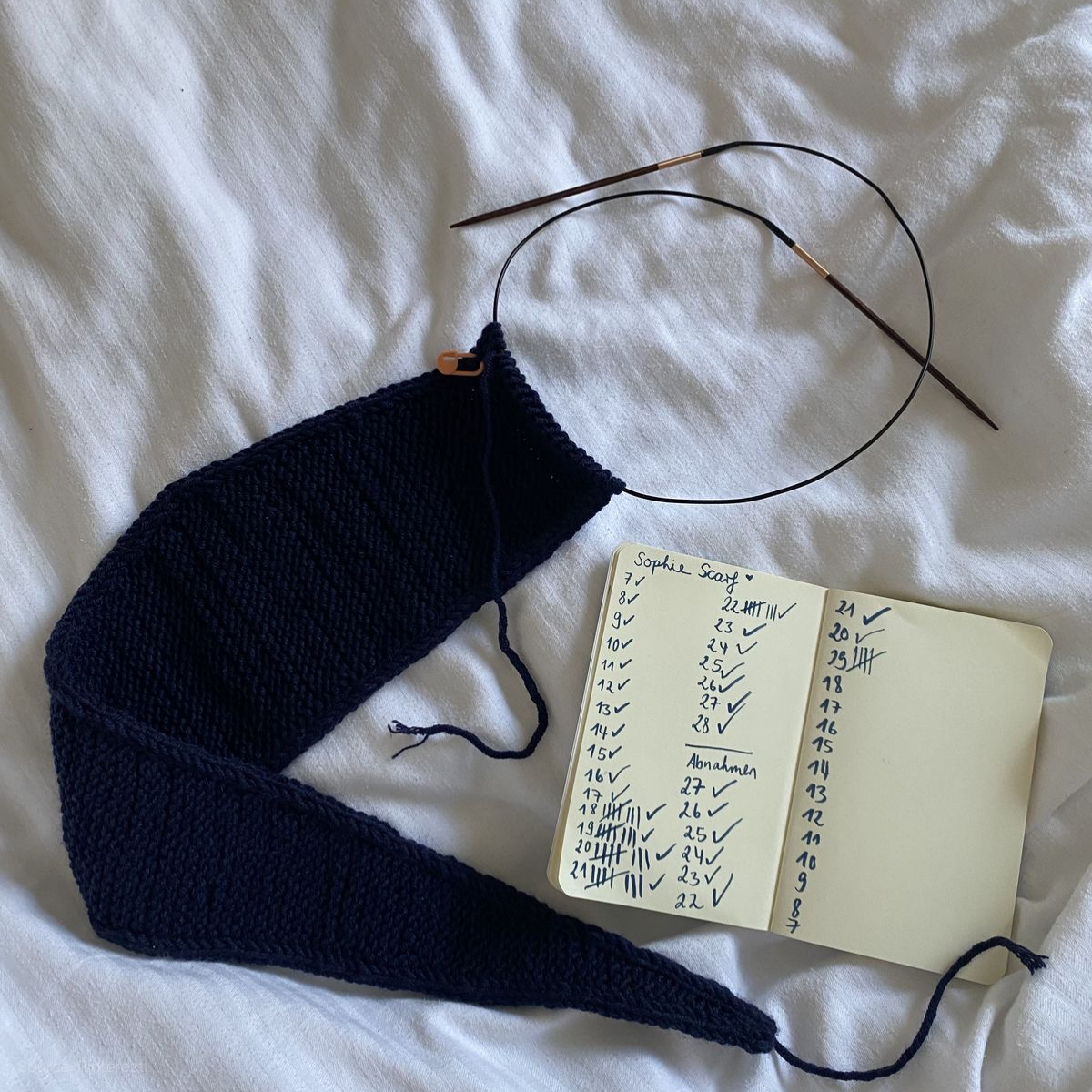 Sophie Scarf Knitting Workshop (2 days)