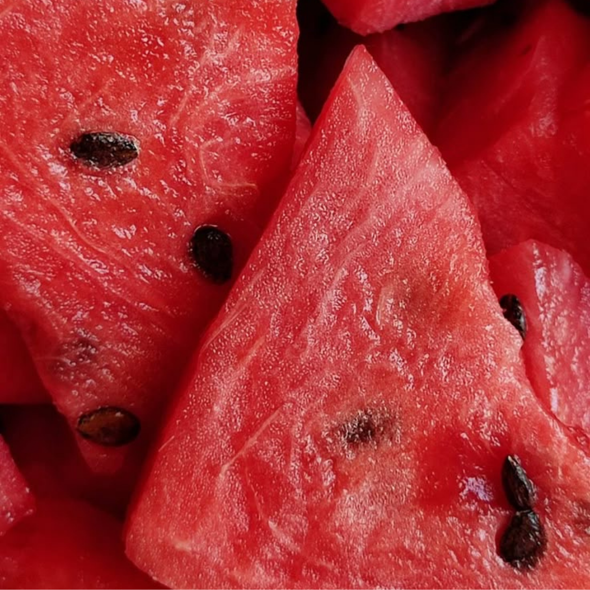 Watercolor Painting Workshop - Watermelon ๐