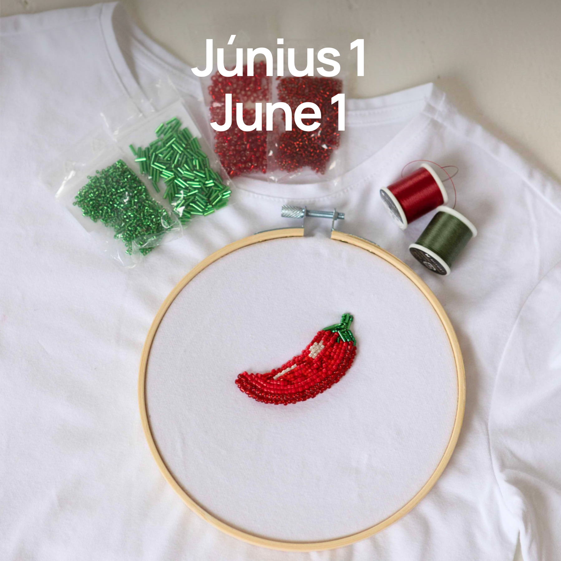 Beaded Embroidery Workshop - Olives & chili 🫒🌶️