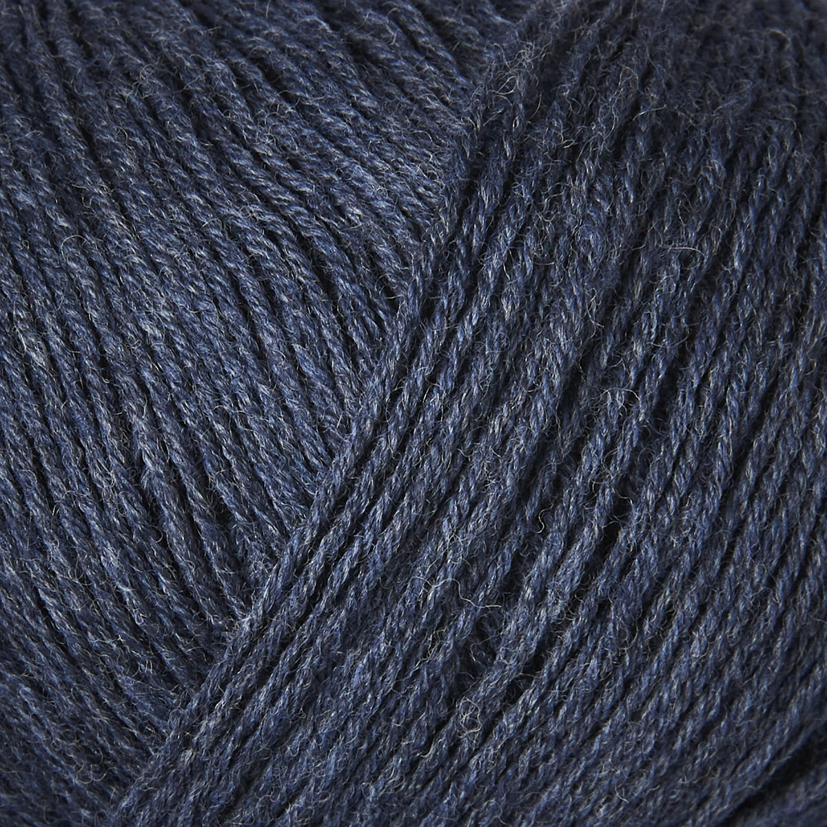 MERINO - Blue Whale