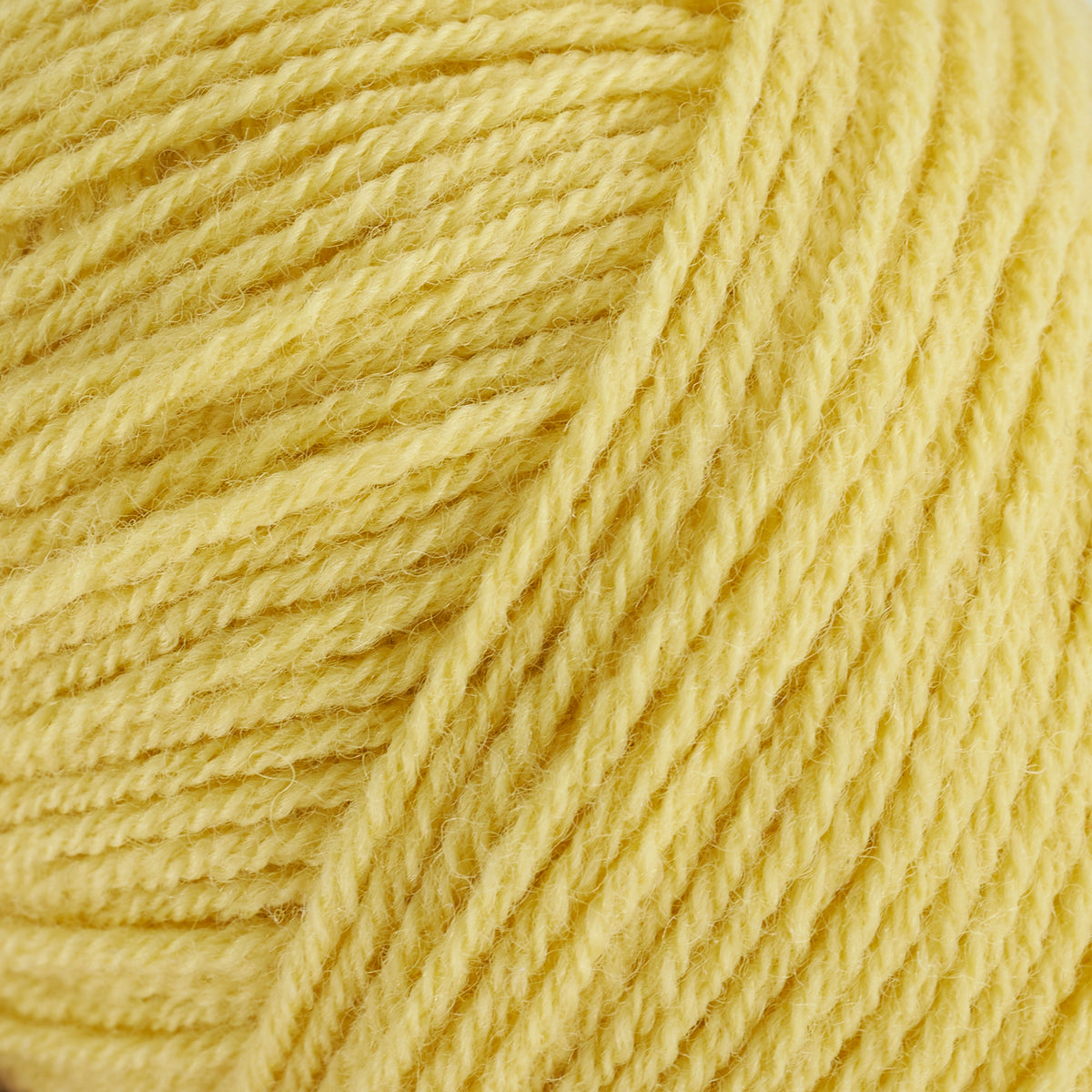 MERINO - Buttercup